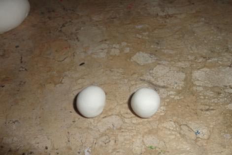 467