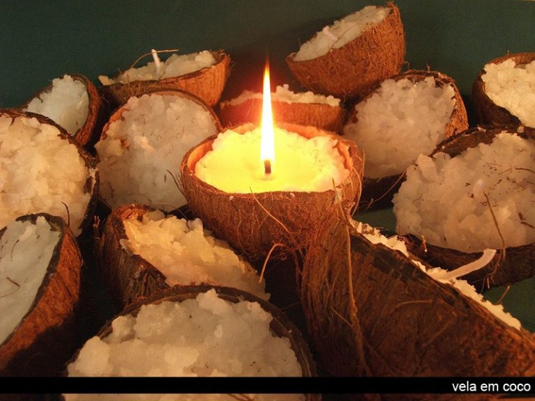 Ideias de Artesanato com coco – Artesanato na Rede