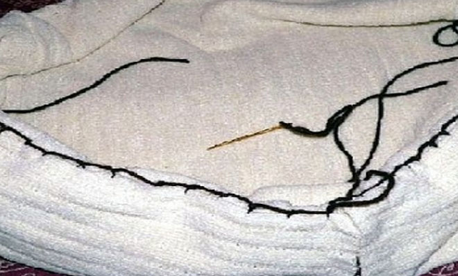 cama para pet 3