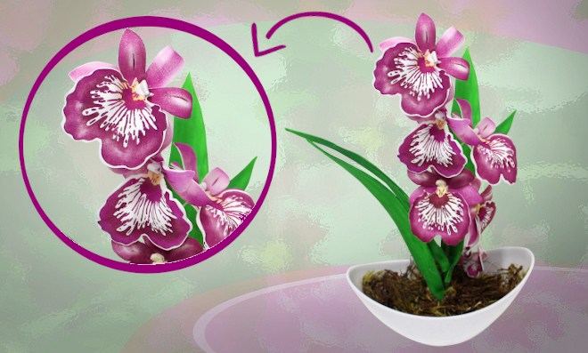 Orquídea Miltonia em EVA feita com stencil - Ilustração