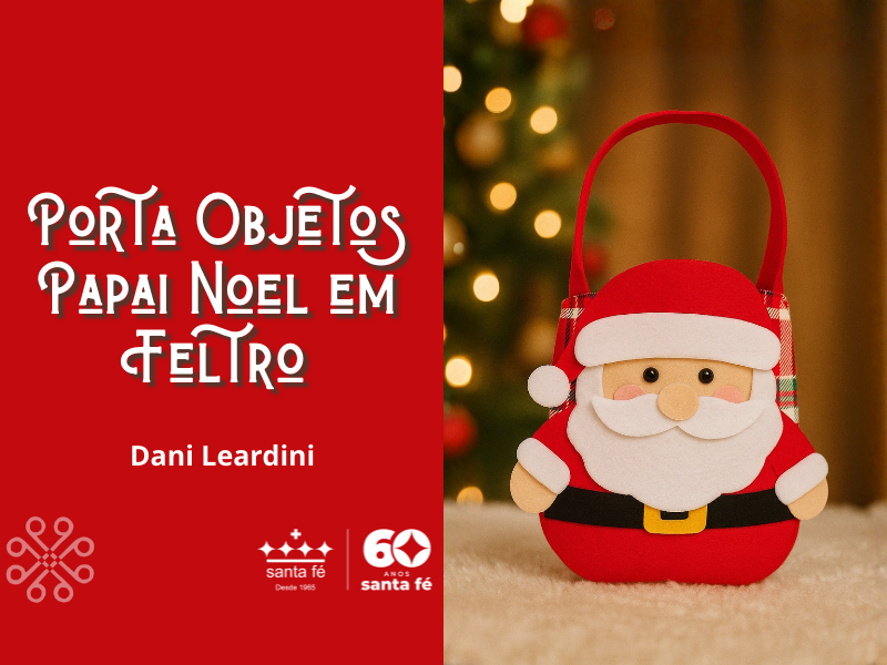 Porta Objetos Papai Noel em Feltro, Dani Leardini